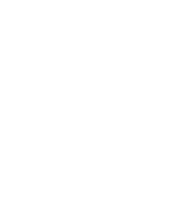 Zé do Peixe